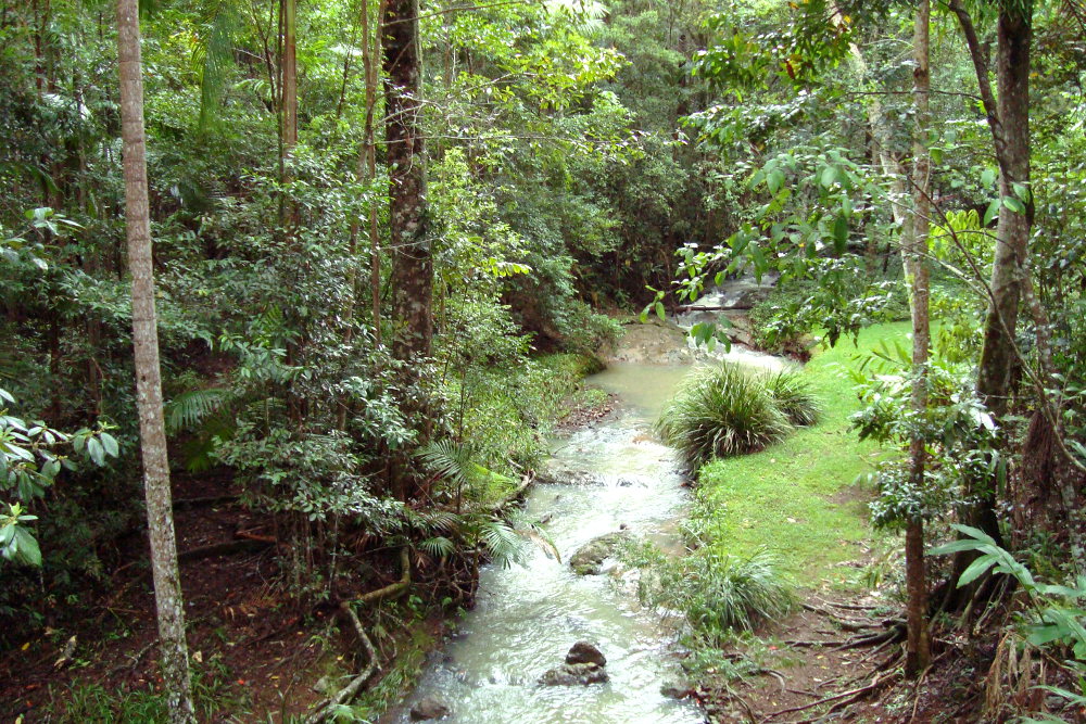 cooling-stream-on-the-sunshine-coast-queensland-australia