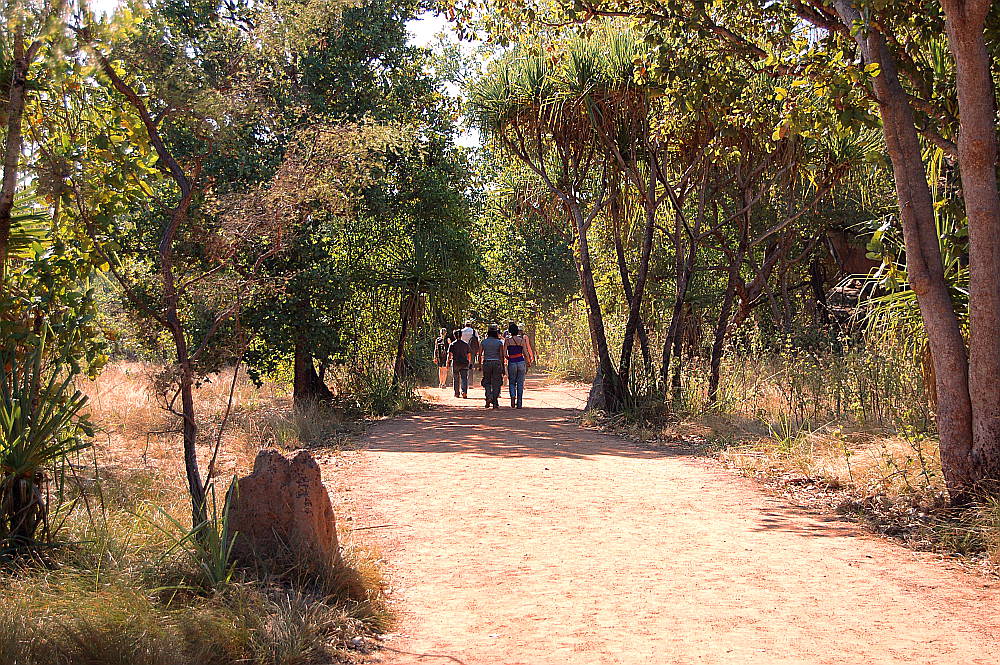 Going walkabout in Kakadu National Park, Australia